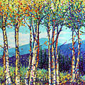 Aspen Melody